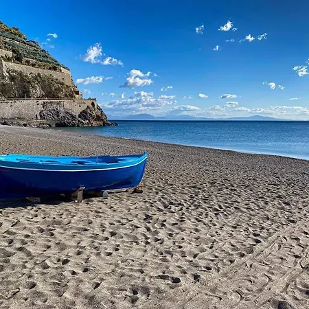 Brasca Amalfi Rosa Canina
