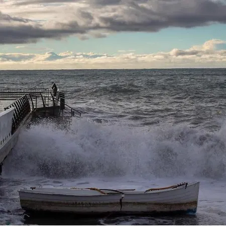 Brasca Amalfi Rosa Canina *